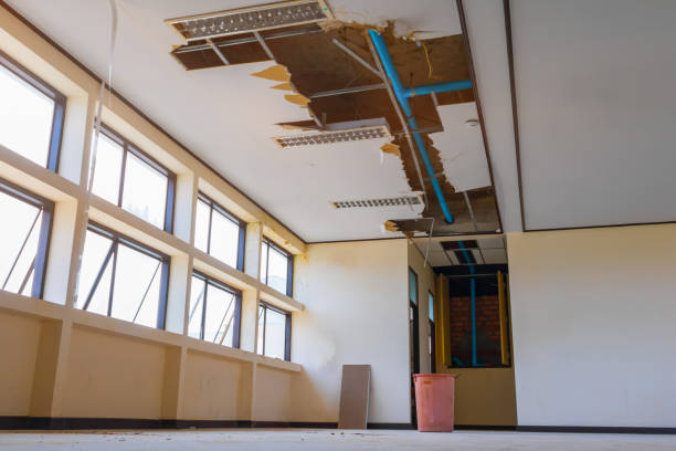 Best 24-hour water damage restoration  in Las Vegas, NV