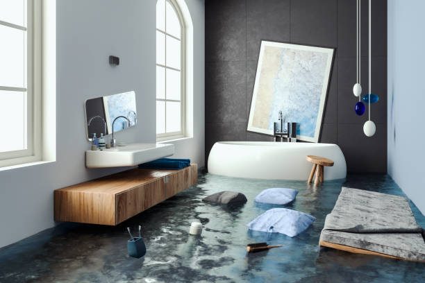Professional Water damage restoration in NV