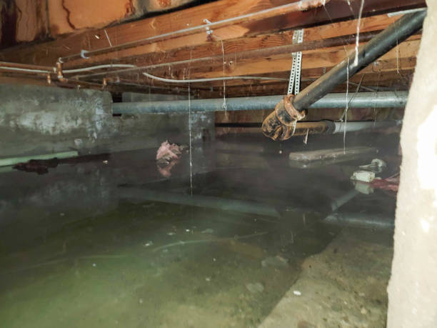 Water damage restoration mold remediation in NV