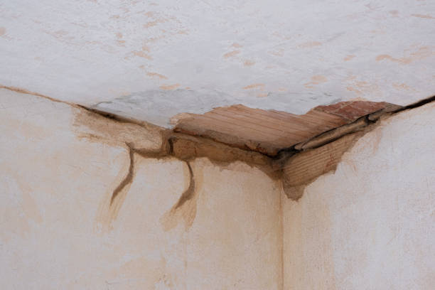 Best Water damage restoration near me  in Las Vegas, NV