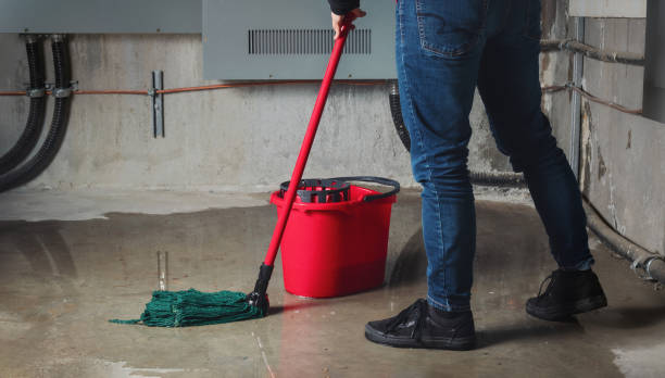 Best Professional water damage repair  in Las Vegas, NV
