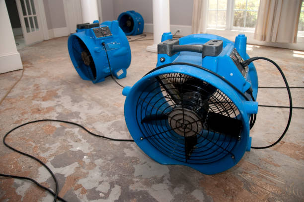 Best 24/7 water damage repair  in Las Vegas, NV