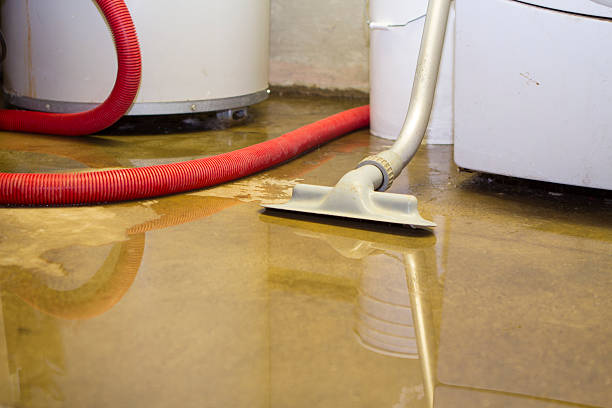 Best Water damage cleanup near me  in Las Vegas, NV