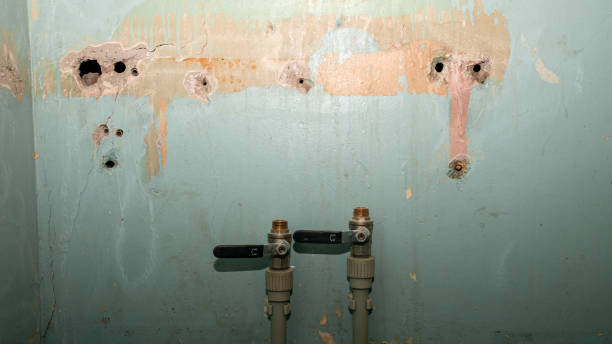 Best Commercial water damage restoration  in Las Vegas, NV
