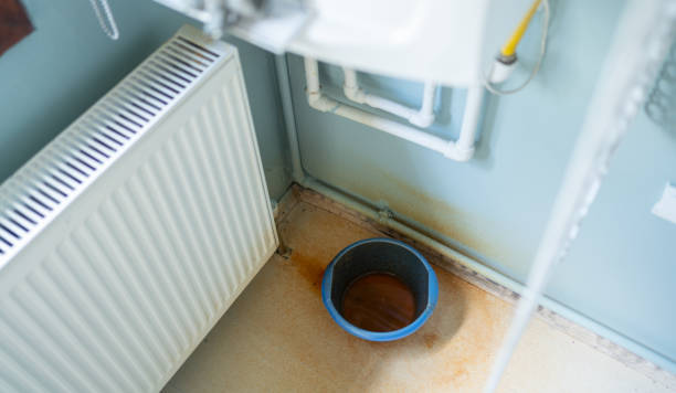 Best Basement water damage restoration  in Las Vegas, NV