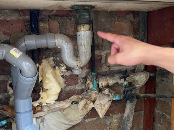 Best Flood restoration services  in Las Vegas, NV